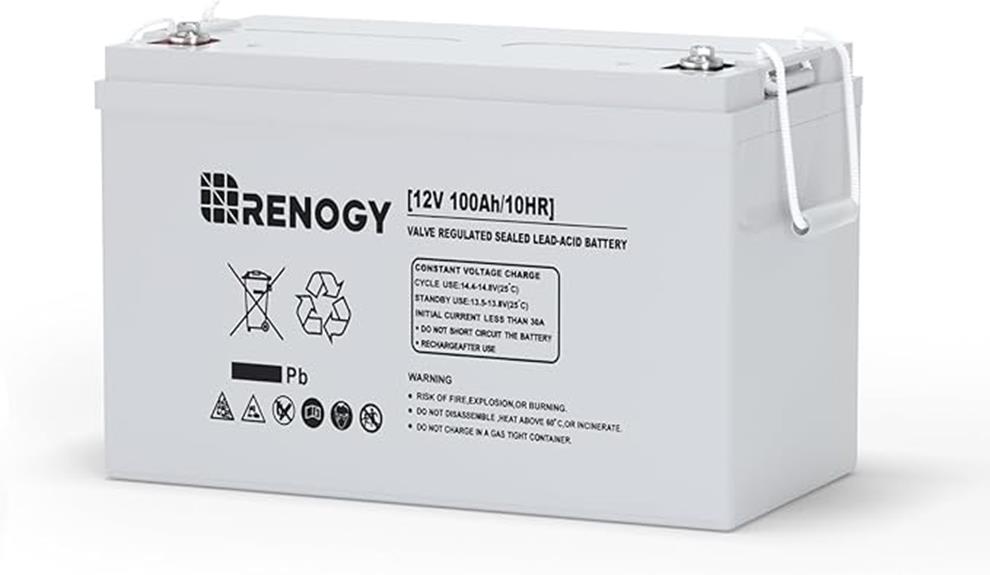 renogy agm 12v battery