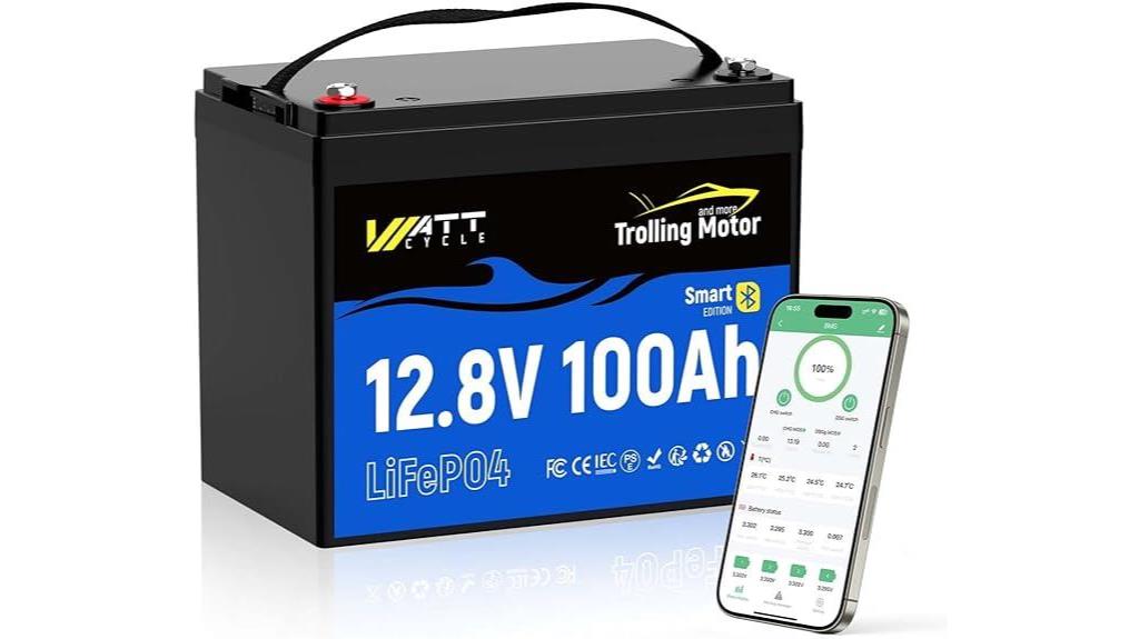 smart bluetooth lithium battery