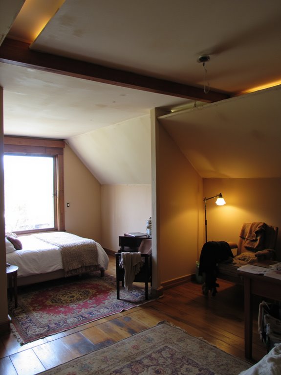 lighting defines open zones