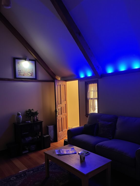 versatile mood lighting solutions